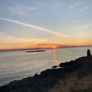 Meet your Posher, Ella